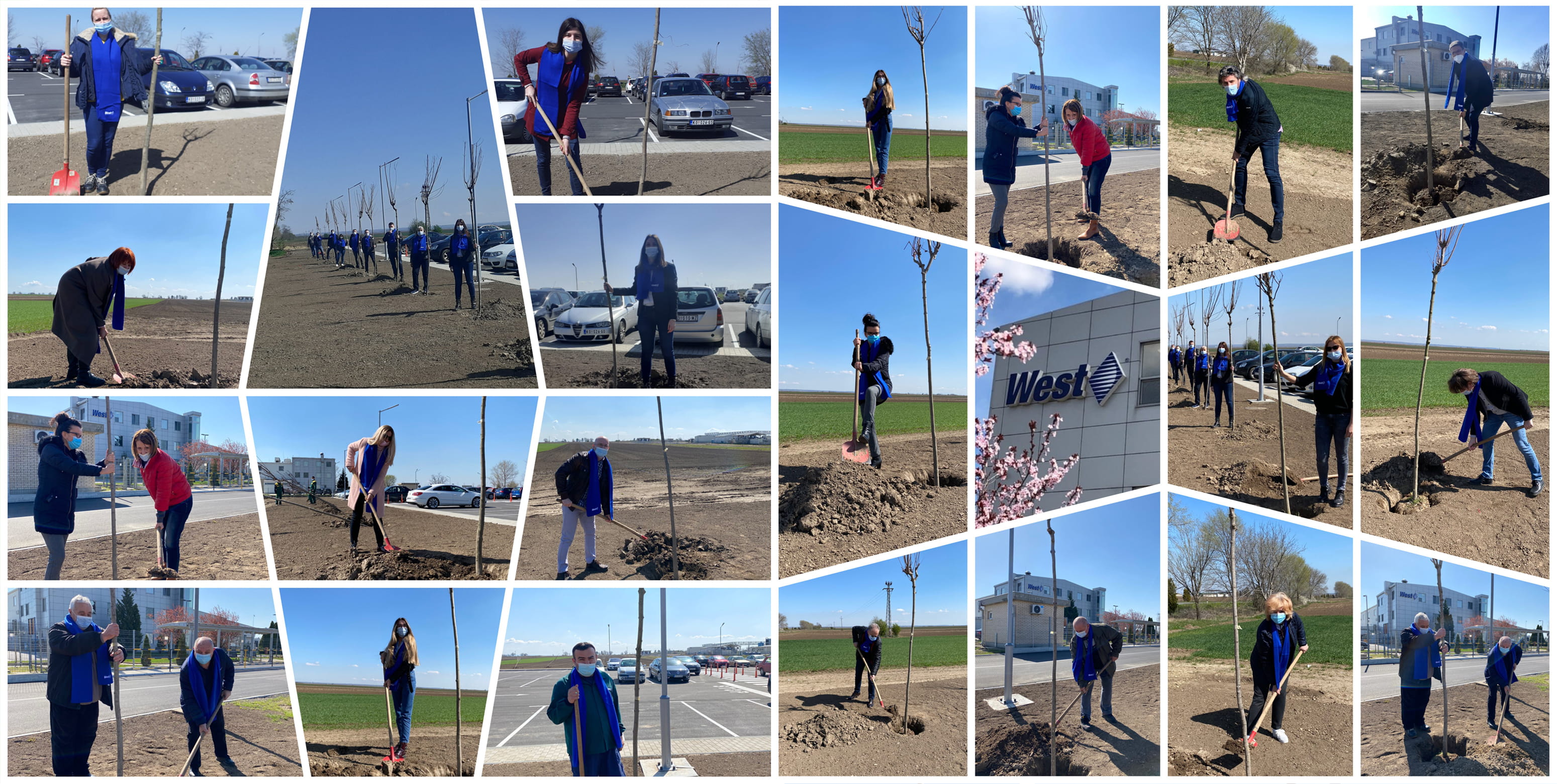 Planting trees at the Kovin, Serbia location